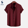 Ralph Lauren Polo Shirt, with a Hampton Collar
