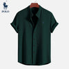 Ralph Lauren Polo Shirt, with a Hampton Collar